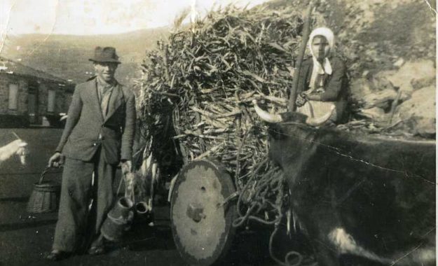 Carro de bois com milho